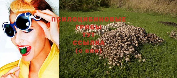 скорость Горняк