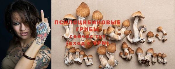 скорость Горняк